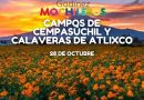 CAMPOS DE CEMPASUCHIL Y CALAVERAS DE ATLIXCO