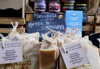 Celaya celebra la Feria de Navidad Regalos de Esperanza 2025 con más de 70 empresas Marca Guanajuato /