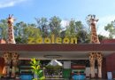 Zoológico de León fortalece protocolos sanitarios y refuerza la protección animal ante la presencia del Gusano Barrenador / @municipio_leon >>>