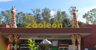Zoológico de León fortalece protocolos sanitarios y refuerza la protección animal ante la presencia del Gusano Barrenador / @municipio_leon >>>